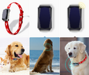 Beidou GPS pet positioning collar