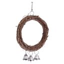 Parrot swing