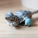 Funny cat electric toy