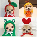 Fruit Dog Clothes Two-legged Hooded Outfits Green Fleece