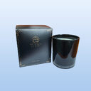 The Modern Alchemist Premium 300g Soy Wax Scented