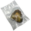 Pearl mussel-1 pearl-12 * 7 *2cm-1