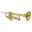 Drop B Tone Adjustable Trumpet Gloves Set Plaint