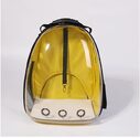 Transparent Backpack Pet