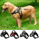Pet Supplies Medium and Large Dog Collar