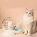 Automatic Drinking Fountain Cat Water Bowl