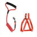 Dog chain strap leash chest tied