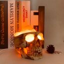 Skull Pakiatan Himalayan Crystal Salt Lamp USB Dimmable