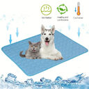 Dog Cooling Mat Summer Pets Cold Bed Extra