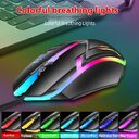 Wired Luminous Mouse Office Home Games USB Desktop