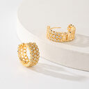Popular Fashion New Earrings Exquisite Design Jewelry