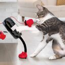 Cat Boxing Game Teaser Toy Pet Products