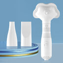 Two-in-one Pet Electric Hot Air One-click Hair Removal