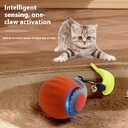 Pet With Gravity Sudden Ball Cat Toy Automatic