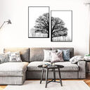 Black And White Winter Trees Modern Sofa Background