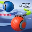 Pet Toy Ball Relieving Stuffy And Funny Cat
