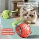 New Interactive Cat Toys Ball Auto Electric Rolling