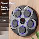 Smart Music Boxing Machine Home Weight Loss Wall