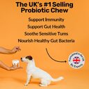 Dog Prebiotics Digestive Snacks Intestinal Health Pet Care