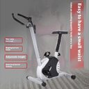 Home Office Bicycle Spinning Fitness Equipment Ribbon Car