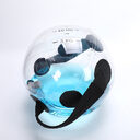 Counterweight Water Bag Fitness Ball Inflatable Irrigation