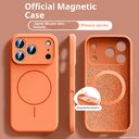 Applicable To 17 Fine Circle Magnetic Phone Case