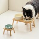 Ceramic Dog Bowl Pet Slow-Feeding Anti-Choking Feeder Tip-Proof