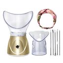 Beauty steaming face instrument