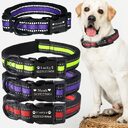 dog collar