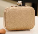 Women Handbag Evening Bags For Party New Chain