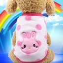 Cat clothes dog pet