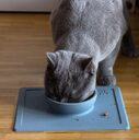 Silicone pet supplies strong suction anti-splash anti-sprinkler bowl