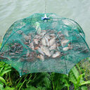 Strengthened 4-20 Holes Automatic Fishing Net Shrimp Cage