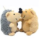Pet plush hedgehog toy