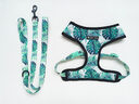 Small dog pet harness