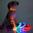 LED Dog Collar Safety Adjustable Nylon Leopard Pet