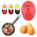 Egg Timer Perfect Color Changing Yummy Soft Hard