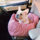Travel car seat small dog Schnauzer cushion