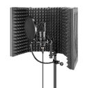 Microphone Recording Studio High-Quality Noise Reduction Screen Blowout