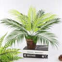Palm tree leaf plant simulation plastic green