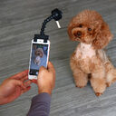 Pet Selfie Stick Supplies Toys Artifact