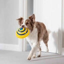 Sounding Disc Woof Glider Soft & Safe Indoor