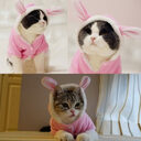 Pet Cat Clothes Mascotas Costume For Hoodies Cute