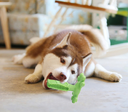 Dog Molar Toy Large Brushing Artifact Pet Supplies