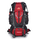 Professional mountaineering package 80L85L outdoor Backpack Travel hiking