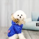 Pet dog clothes wool hat cotton