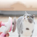 Cat comb long hair removal