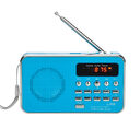 Multi-function card radio portable memory MP3 music player