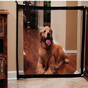 Portable Folding Pet Separation Barrier Dog Obstacle Safety