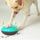 Pet Vocal Toy Slow Food Leaking Device